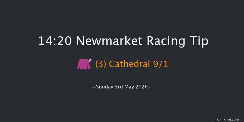 Newmarket 14-20 (Class 1) 9f Sat 2nd May 2026