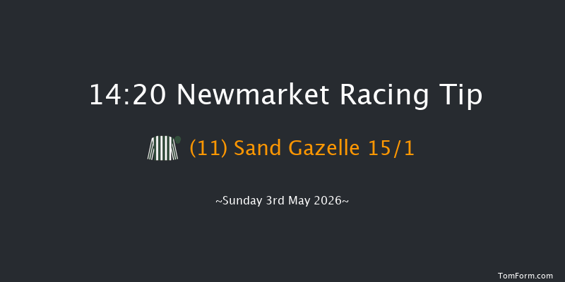 Newmarket 14-20 (Class 1) 9f Sat 2nd May 2026