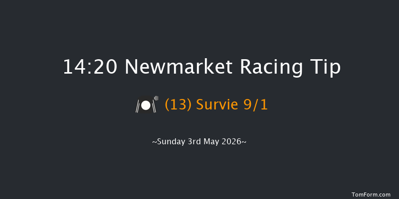 Newmarket 14-20 (Class 1) 9f Sat 2nd May 2026
