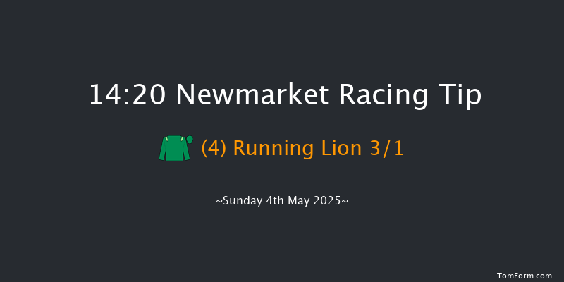 Newmarket 14-20 (Class 1) 9f Sat 3rd May 2025