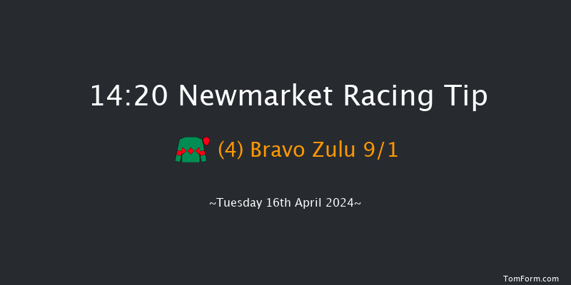 Newmarket  14:20 Handicap (Class 4) 8f Sat 4th Nov 2023