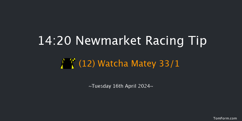 Newmarket  14:20 Handicap (Class 4) 8f Sat 4th Nov 2023