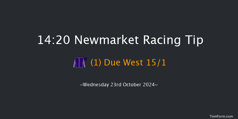 Newmarket  14:20 Stakes (Class 4) 7f Sat 12th Oct 2024