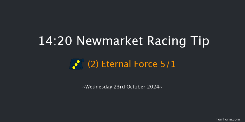 Newmarket  14:20 Stakes (Class 4) 7f Sat 12th Oct 2024