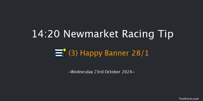 Newmarket  14:20 Stakes (Class 4) 7f Sat 12th Oct 2024