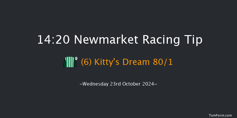 Newmarket  14:20 Stakes (Class 4) 7f Sat 12th Oct 2024