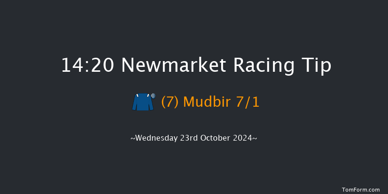 Newmarket  14:20 Stakes (Class 4) 7f Sat 12th Oct 2024