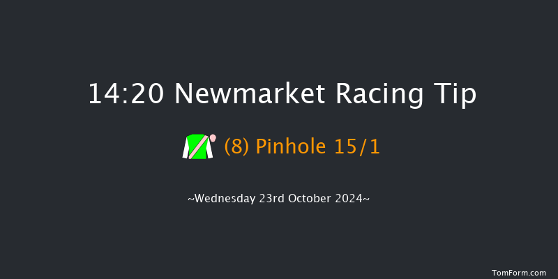 Newmarket  14:20 Stakes (Class 4) 7f Sat 12th Oct 2024