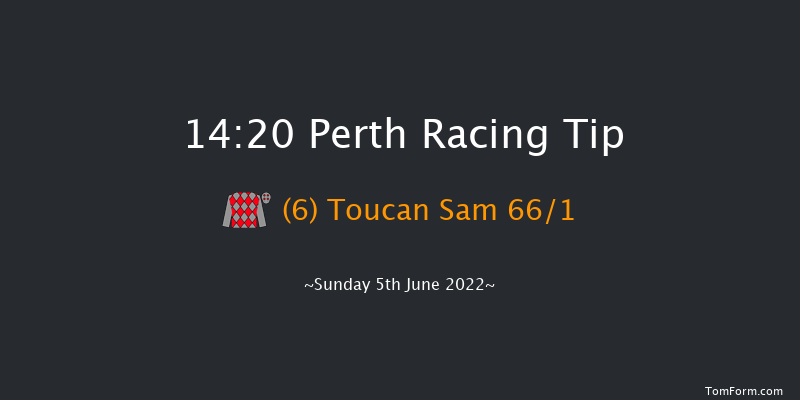 Perth 14:20 Maiden Hurdle (Class 4) 20f Thu 12th May 2022