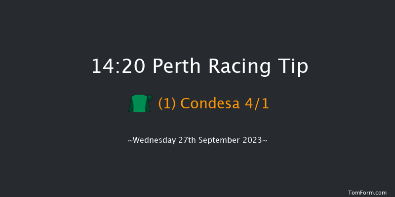 Perth 14:20 Maiden Hurdle (Class 4) 20f Mon 11th Sep 2023