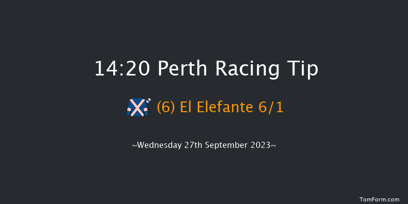 Perth 14:20 Maiden Hurdle (Class 4) 20f Mon 11th Sep 2023