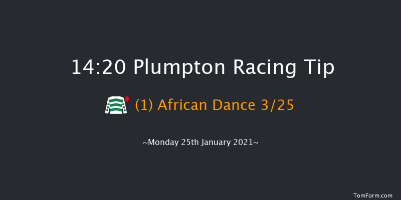 tote.co.uk Novices' Hurdle (GBB Race) Plumpton 14:20 Maiden Hurdle (Class 4) 20f Wed 13th Jan 2021