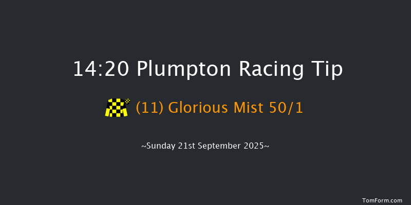 Plumpton 14-20 (Class 5) 24f Sun 11th May 2025