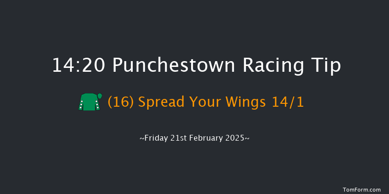 Punchestown  14:20 Maiden Hurdle 17f Thu 20th Feb 2025