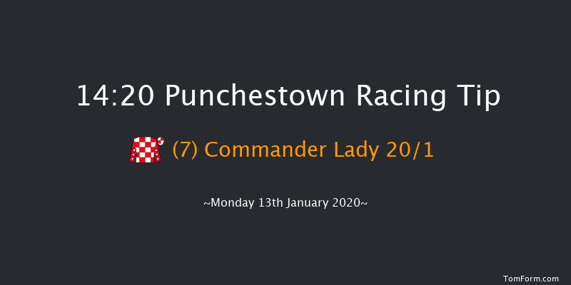 Punchestown 14:20 Maiden Hurdle 20f Sun 12th Jan 2020