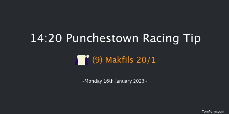 Punchestown 14:20 Handicap Hurdle 21f Sun 15th Jan 2023