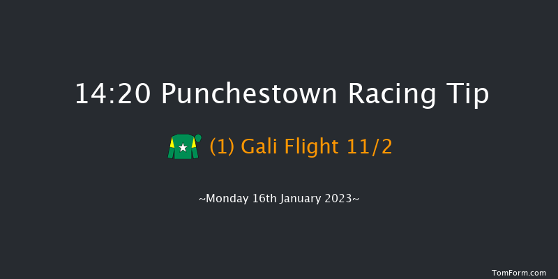 Punchestown 14:20 Handicap Hurdle 21f Sun 15th Jan 2023