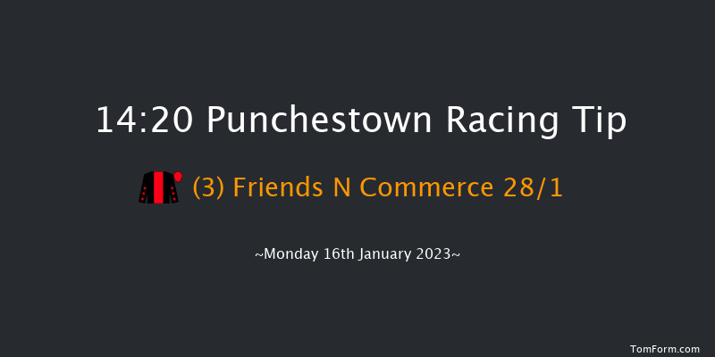 Punchestown 14:20 Handicap Hurdle 21f Sun 15th Jan 2023