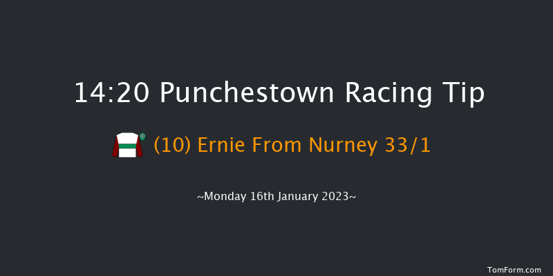 Punchestown 14:20 Handicap Hurdle 21f Sun 15th Jan 2023