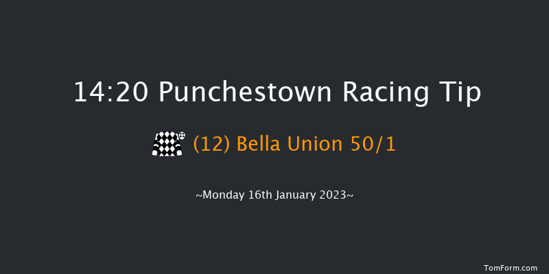 Punchestown 14:20 Handicap Hurdle 21f Sun 15th Jan 2023