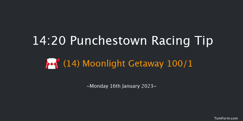Punchestown 14:20 Handicap Hurdle 21f Sun 15th Jan 2023