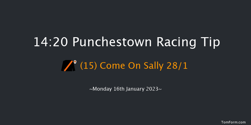 Punchestown 14:20 Handicap Hurdle 21f Sun 15th Jan 2023