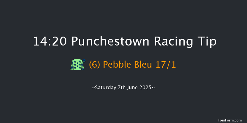 Punchestown 14-20 24f Sat 3rd May 2025