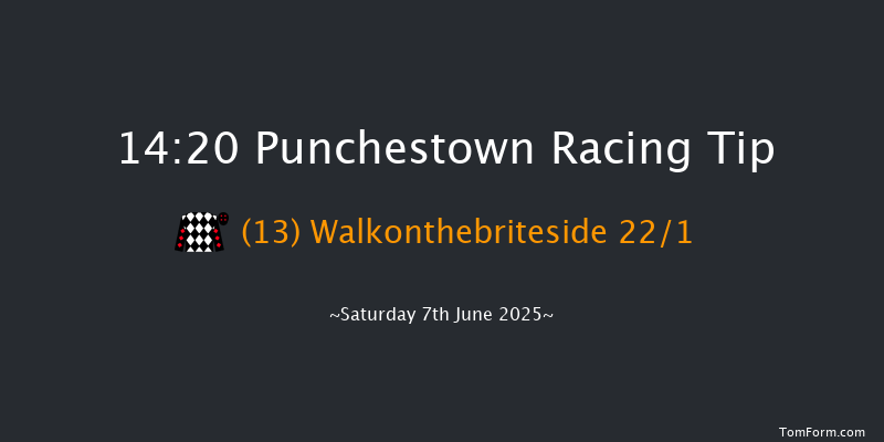 Punchestown 14-20 24f Sat 3rd May 2025