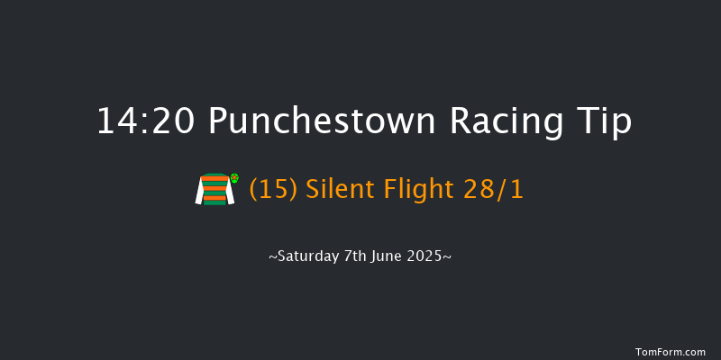 Punchestown 14-20 24f Sat 3rd May 2025