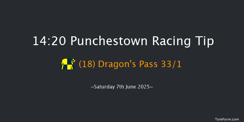 Punchestown 14-20 24f Sat 3rd May 2025