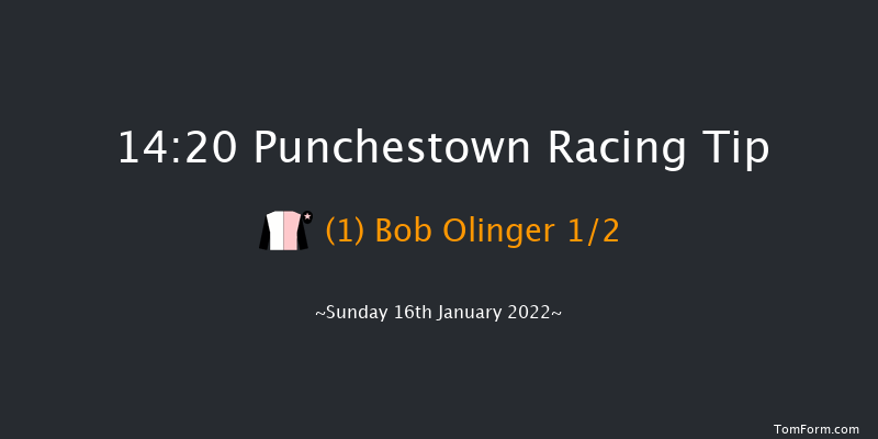 Punchestown 14:20 Maiden Chase 20f Fri 31st Dec 2021