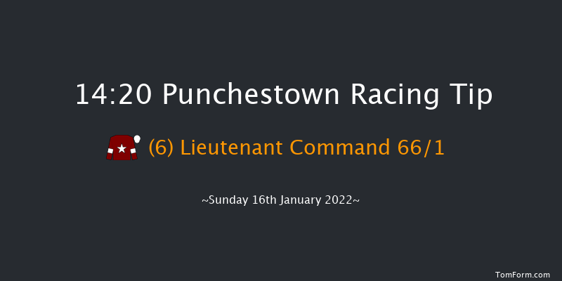 Punchestown 14:20 Maiden Chase 20f Fri 31st Dec 2021