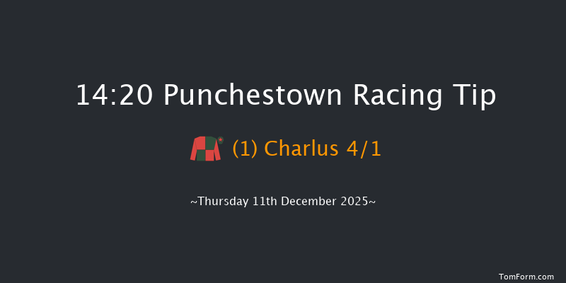 Punchestown 14-20 16f Sun 23rd Nov 2025