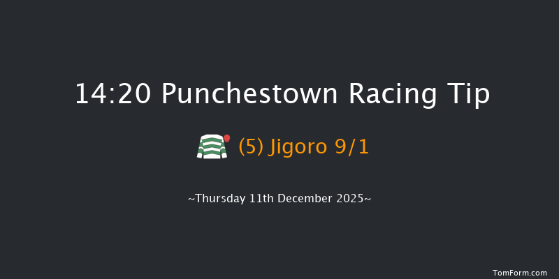 Punchestown 14-20 16f Sun 23rd Nov 2025