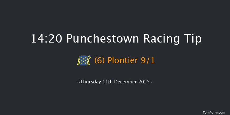 Punchestown 14-20 16f Sun 23rd Nov 2025