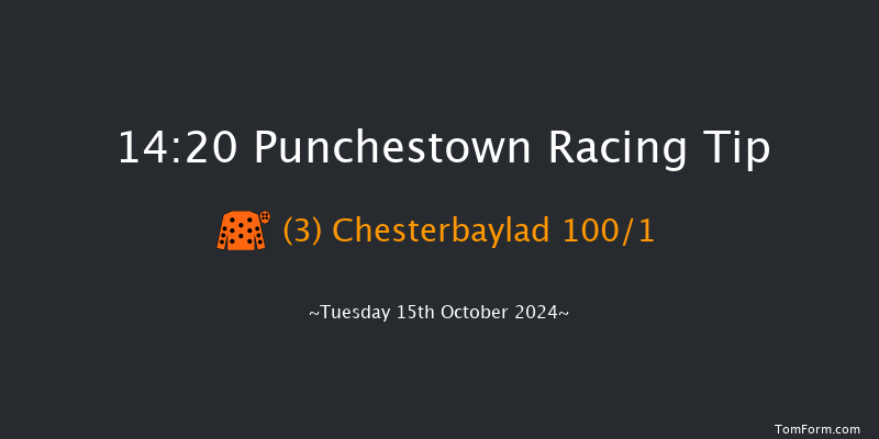Punchestown  14:20 Conditions Hurdle 16f Tue 17th Sep 2024