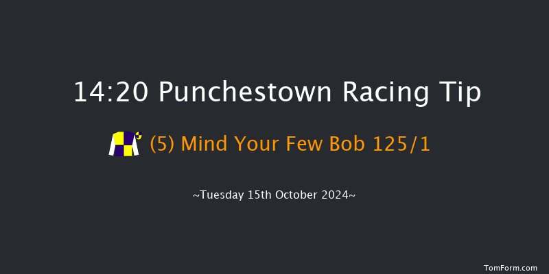 Punchestown  14:20 Conditions Hurdle 16f Tue 17th Sep 2024