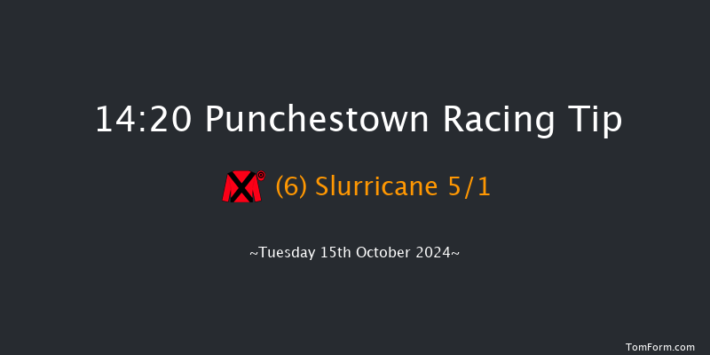 Punchestown  14:20 Conditions Hurdle 16f Tue 17th Sep 2024