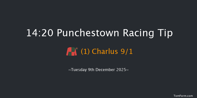 Punchestown 14-20 16f Sun 23rd Nov 2025