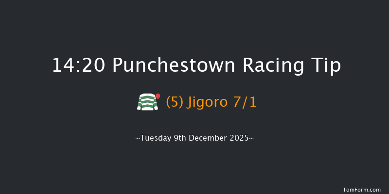 Punchestown 14-20 16f Sun 23rd Nov 2025