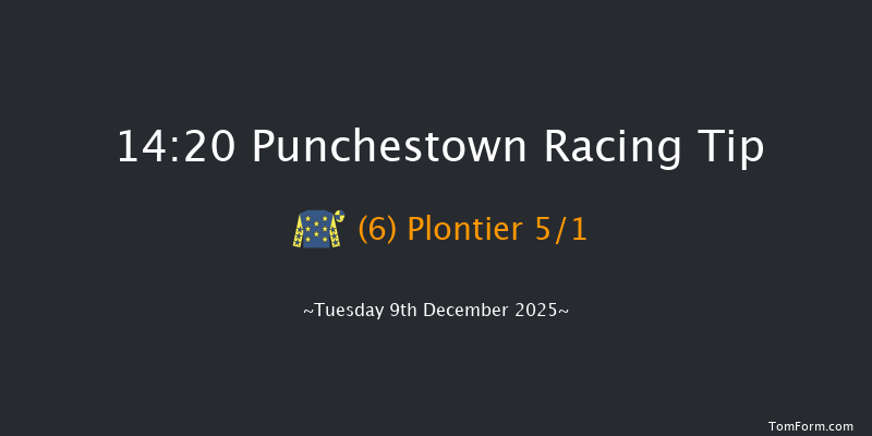 Punchestown 14-20 16f Sun 23rd Nov 2025