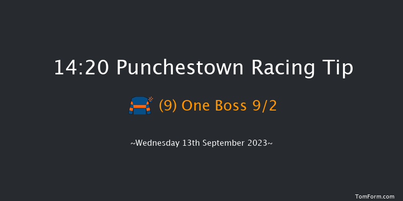 Punchestown 14:20 Handicap 8f Sun 11th Jun 2023