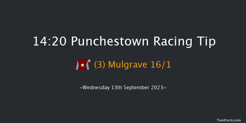 Punchestown 14:20 Handicap 8f Sun 11th Jun 2023