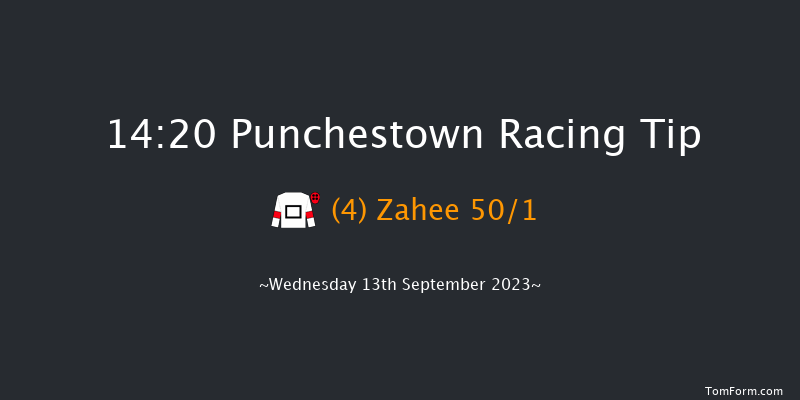 Punchestown 14:20 Handicap 8f Sun 11th Jun 2023