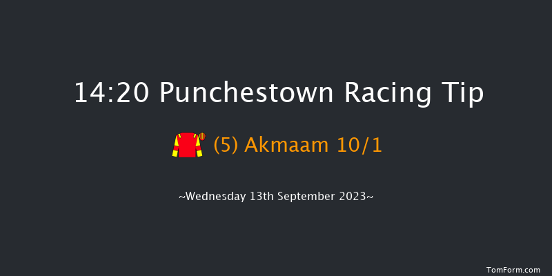 Punchestown 14:20 Handicap 8f Sun 11th Jun 2023