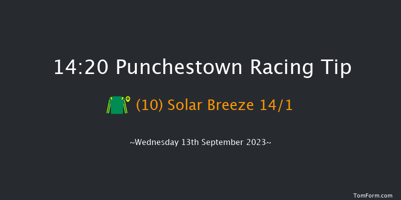 Punchestown 14:20 Handicap 8f Sun 11th Jun 2023