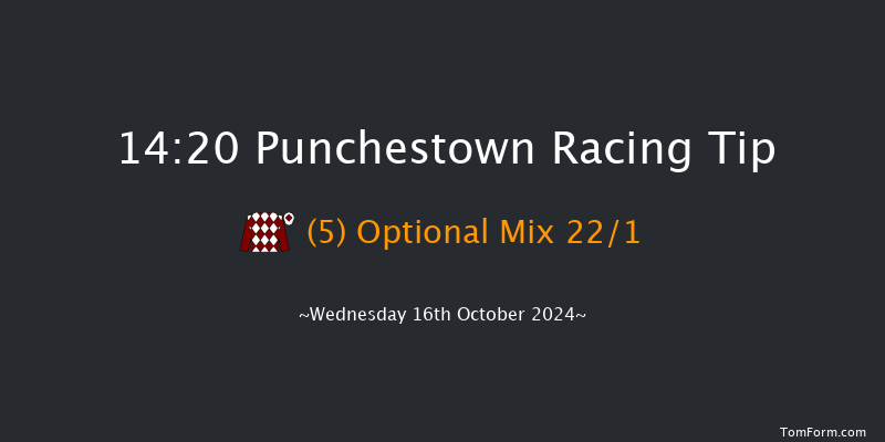 Punchestown  14:20 Handicap Hurdle 16f Tue 15th Oct 2024