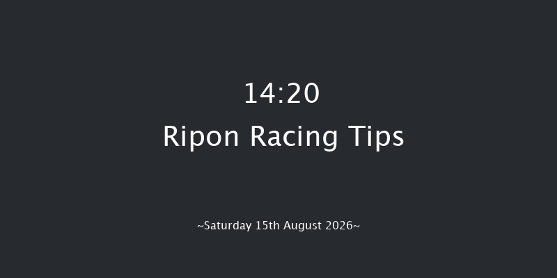 Ripon 14-20 (Class 2) 6f Mon 3rd Aug 2026