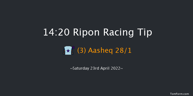 Ripon 14:20 Handicap (Class 3) 8f Thu 14th Apr 2022