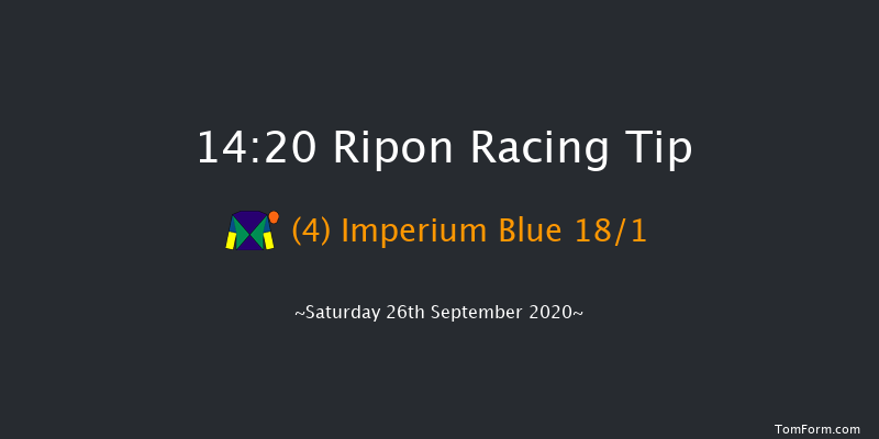 British Stallion Studs Ebf Novice Stakes Ripon 14:20 Stakes (Class 5) 6f Tue 1st Sep 2020